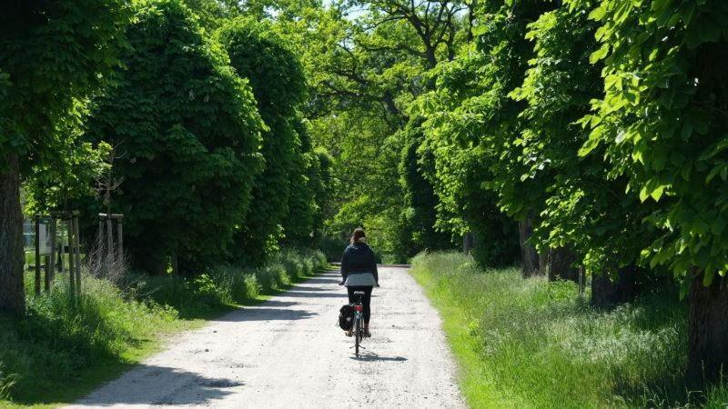 Agriturismo La Magione Quercegrossa Kültér fotó